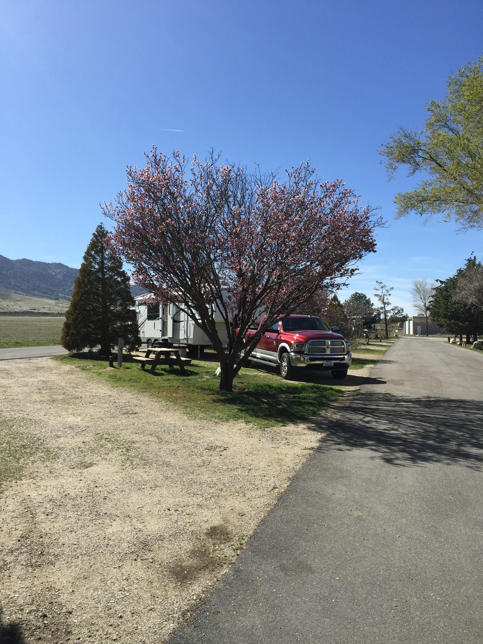 Hotel photo 8 of Mountain Valley RV Park.