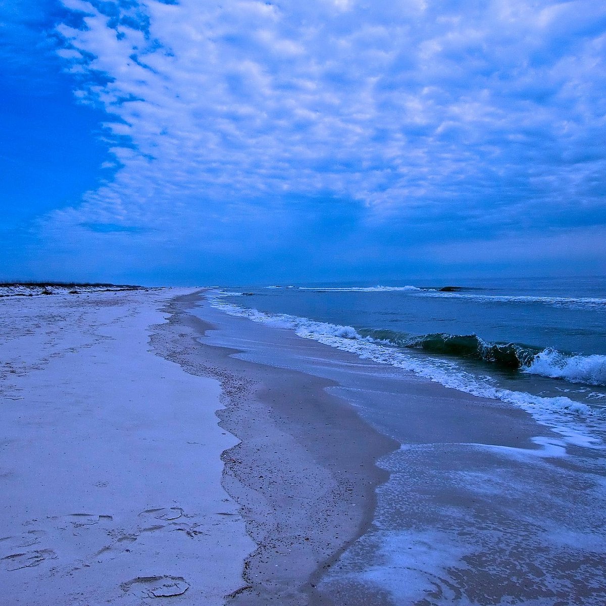 bon-secour-national-wildlife-refuge-gulf-shores-all-you-need-to-know-before-you-go