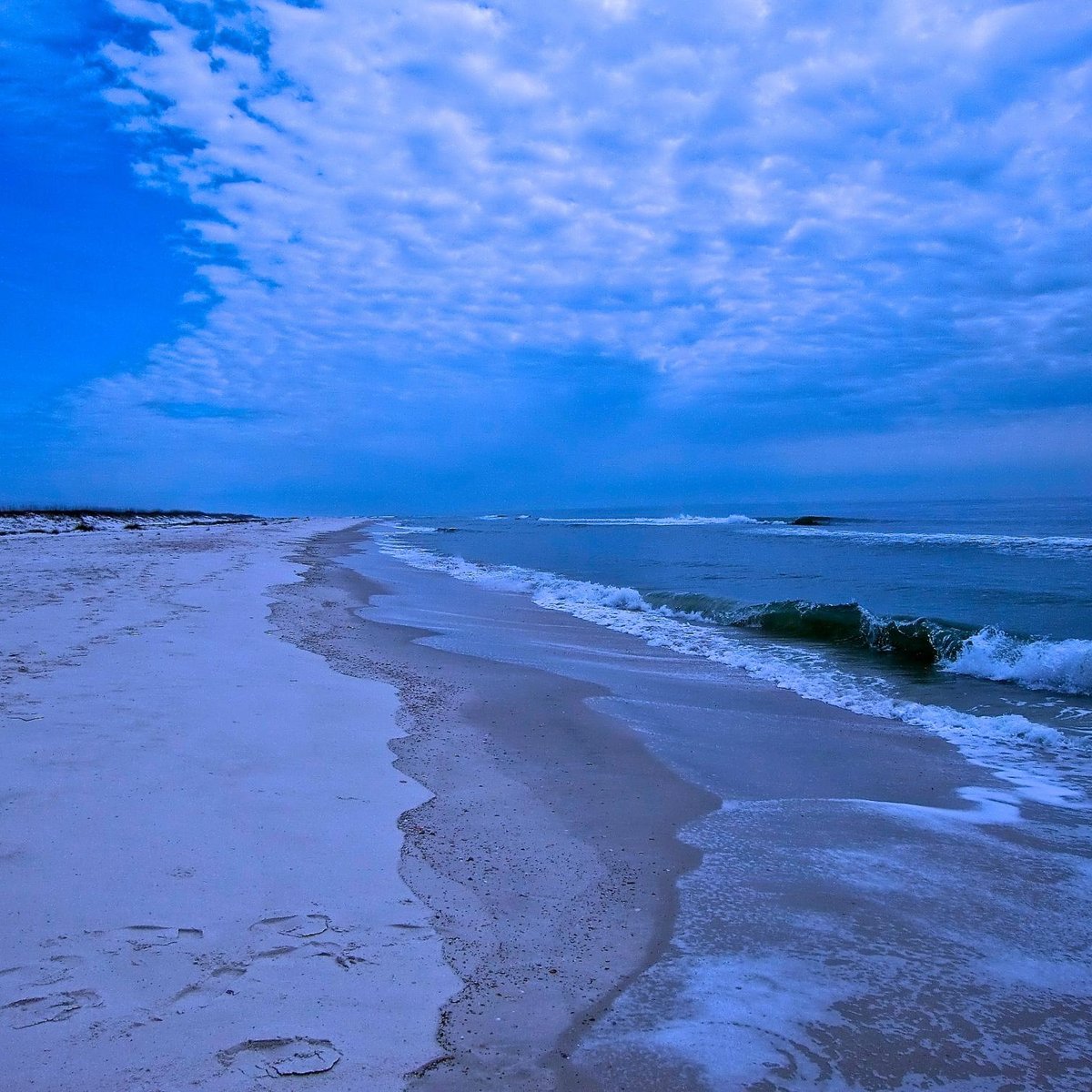 bon-secour-national-wildlife-refuge-gulf-shores-all-you-need-to