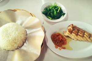 Cibo
