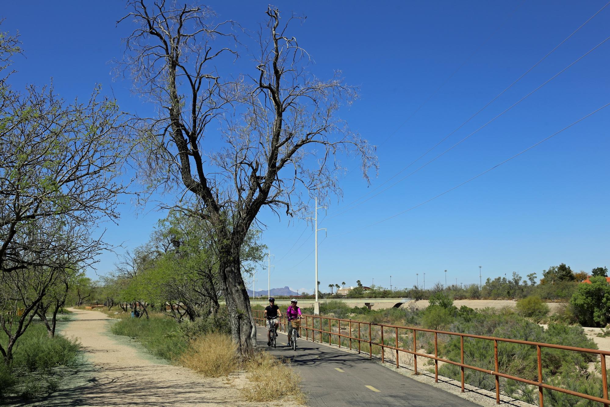 Rillito River Park All You Must Know BEFORE You Go with Photos