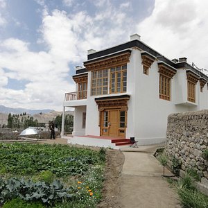 Dawa Guesthouse