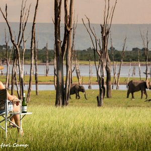 Elephants on the Foreshore at Rhino Safari Camp
