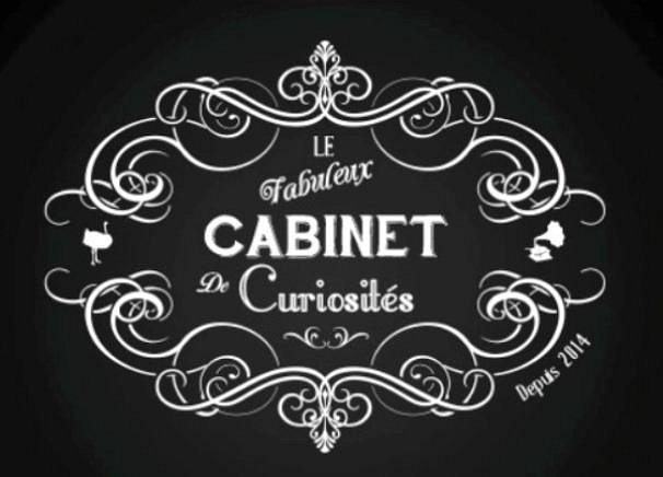 Intérieur de la boutique - Picture of Le Cabinet de Curiosites des  Batignolles, Paris - Tripadvisor