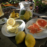 Fresh Lemonade and citrus tasting!
