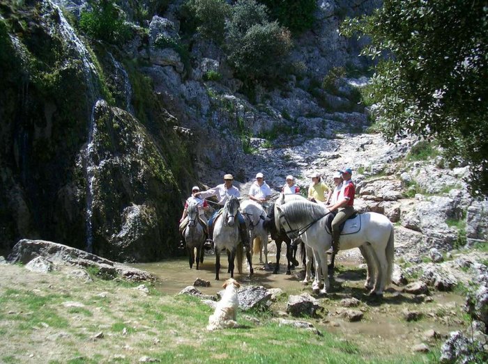 Imagen 16 de Casa Rural San Antonio