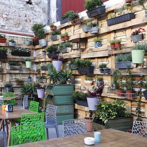Terraza Bar