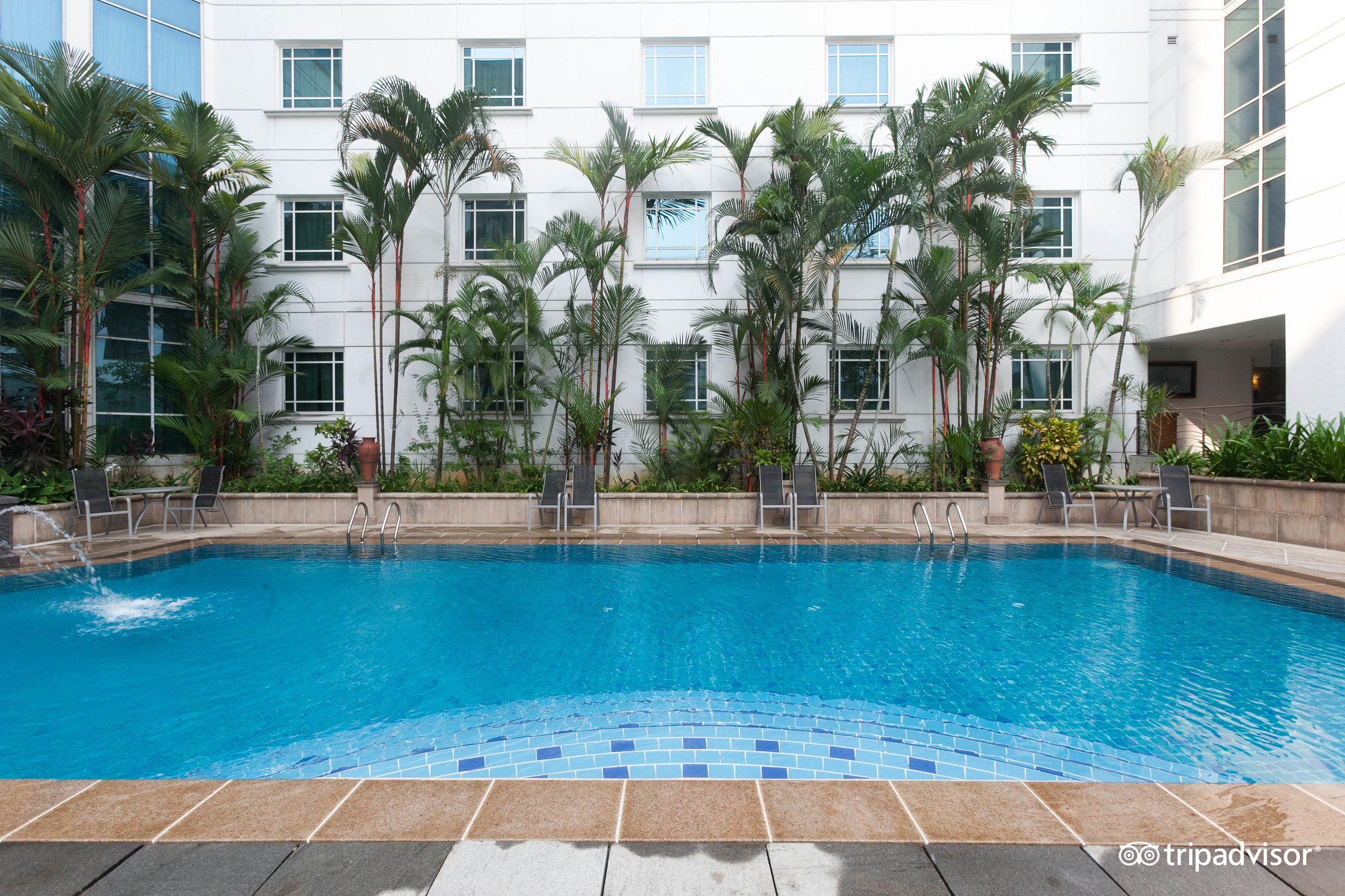 Rendezvous Hotel Singapore by Far East Hospitality Pool Pictures