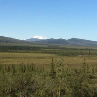 Denali Tundra Tours (Denali National Park and Preserve) - All You Need ...