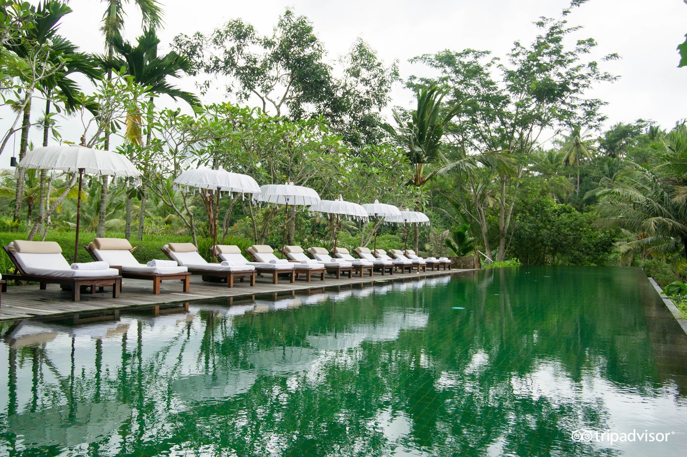 KOMANEKA AT BISMA - Updated 2024 Prices & Hotel Reviews (Ubud, Bali)