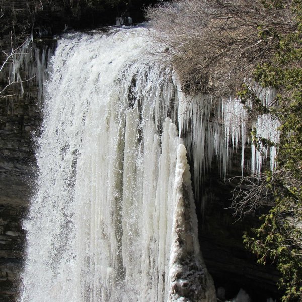 Spencer Gorge Conservation Area - All You Need to Know BEFORE You Go (2024)