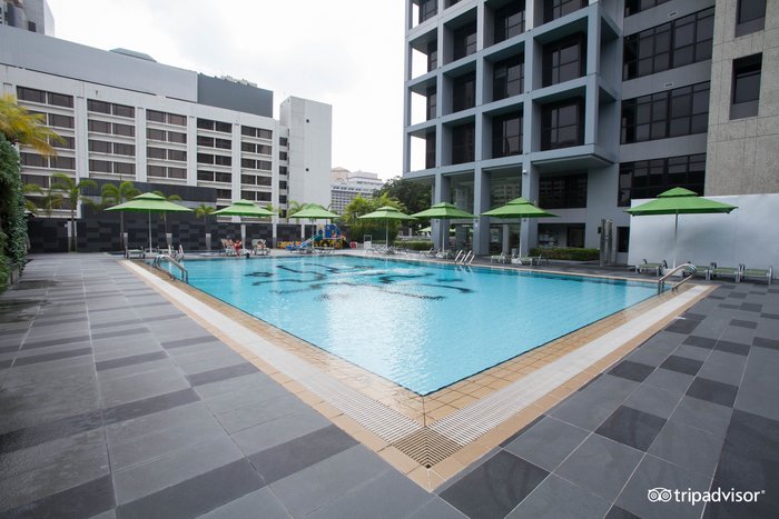 Novotel Living Singapore Orchard Pool: Pictures & Reviews - Tripadvisor