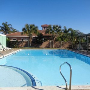 Outdoor saltwater pool (not heated)