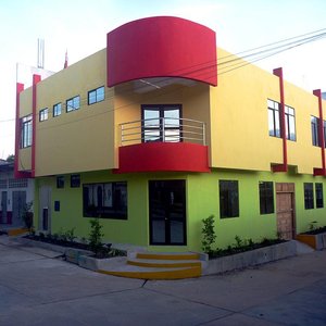 Frontis