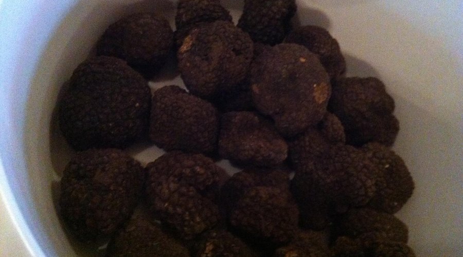 Il tartufo
