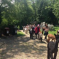 Walkers returning