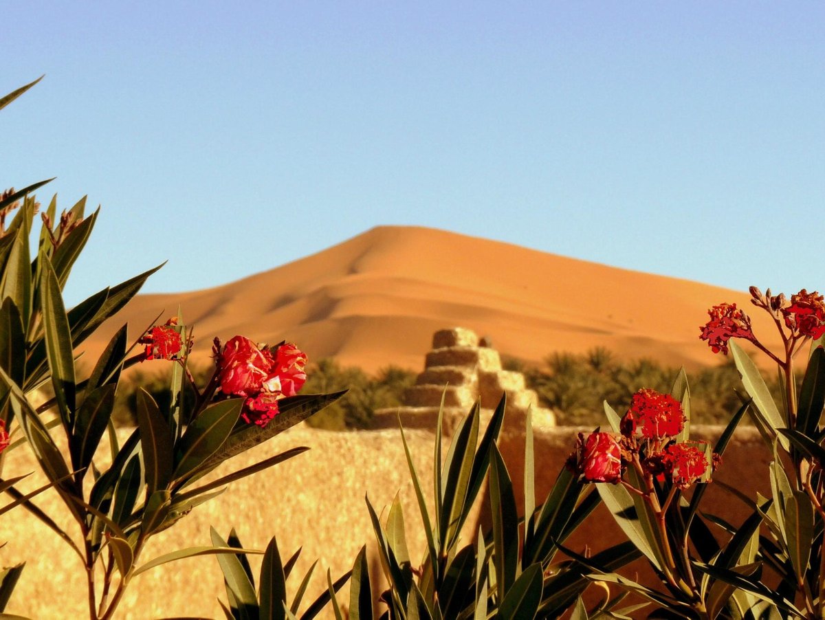 LA VALLÉE DES DUNES (Мерзуга) - отзывы, фото и сравнение цен - Tripadvisor