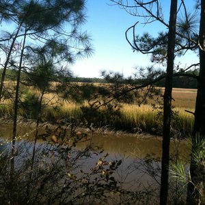 THE CENTER FOR BIRDS OF PREY - 151 Photos & 49 Reviews - 4719 Hwy 17 N,  Awendaw, South Carolina - Zoos - Phone Number - Yelp