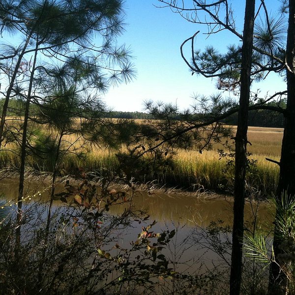 The Center for Birds of Prey (Awendaw) - All You Need to Know BEFORE You Go