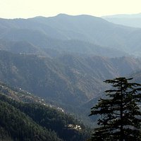 Green Valley (Shimla) - All You Need to Know BEFORE You Go