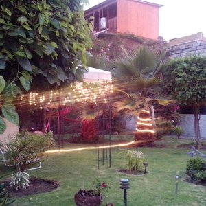 gardens