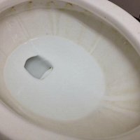 Toilet bowl not cleaned in ages