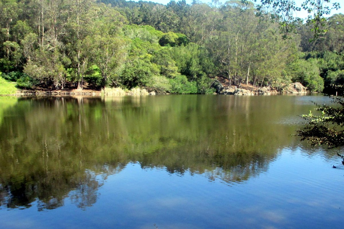 Lake Anza (Berkeley) 2022 Alles wat u moet weten VOORDAT je gaat