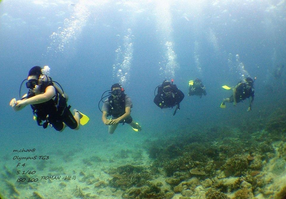 UDive (Pulau Tioman) - 2023 Alles Wat U Moet Weten VOORDAT Je Gaat ...