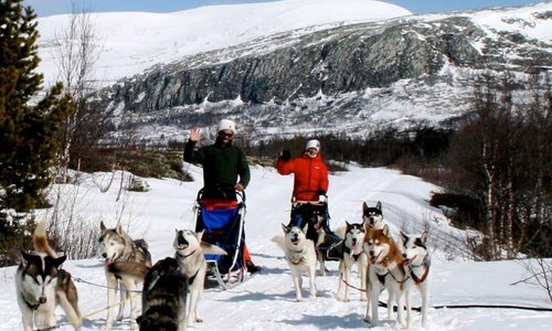 Adventure of a lifetime!