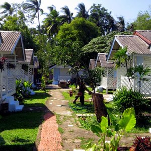 garden view