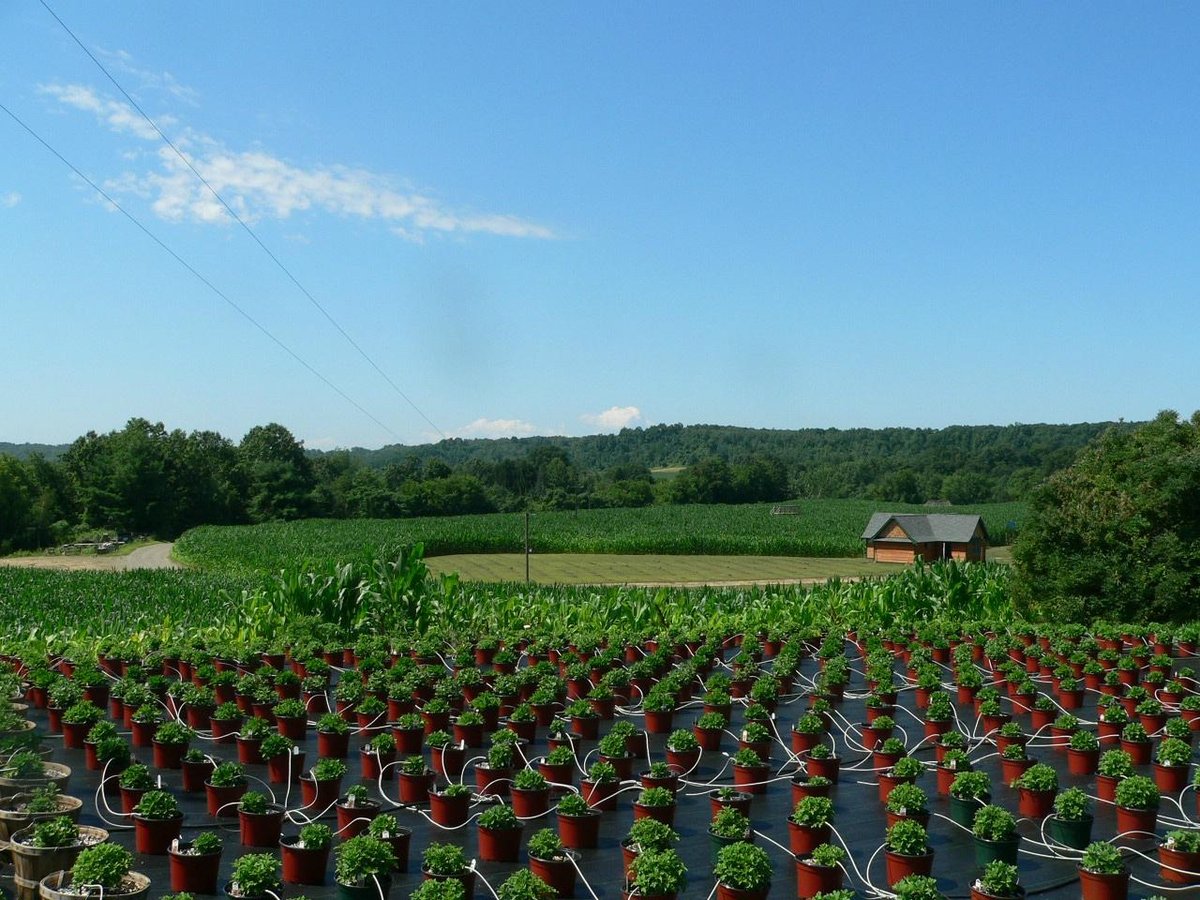 Liberty Ridge Farm (Schaghticoke) - All You Need to Know BEFORE You Go