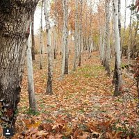 Najvan park in fall