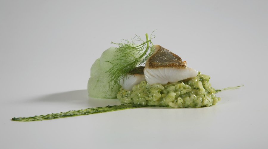 Menú degustación