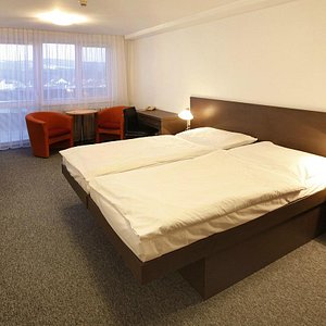 Double/Twin Room (renovated 2016)