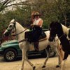 casaguahorses