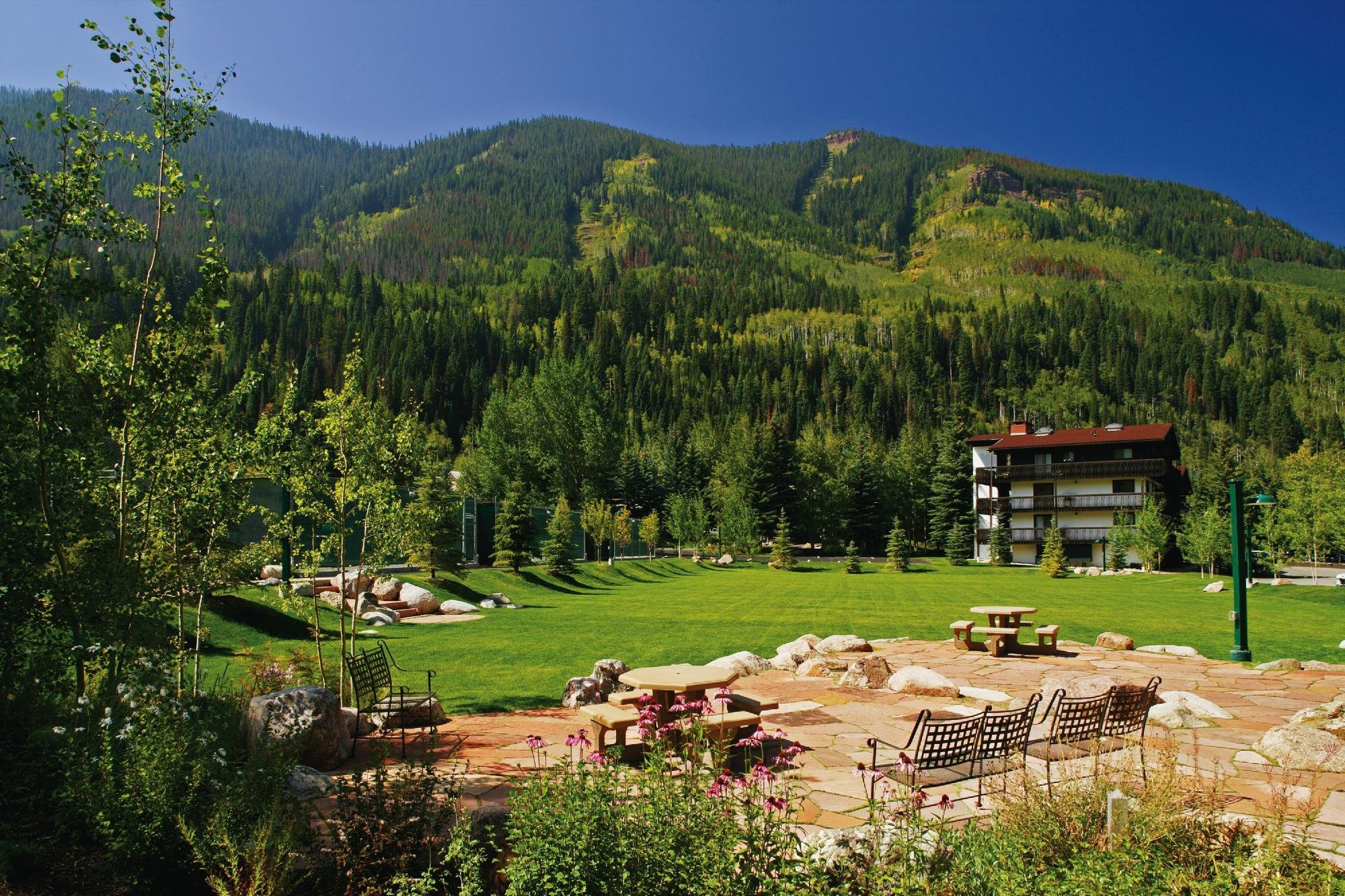 Vail Racquet Club Mountain Resort Reviews