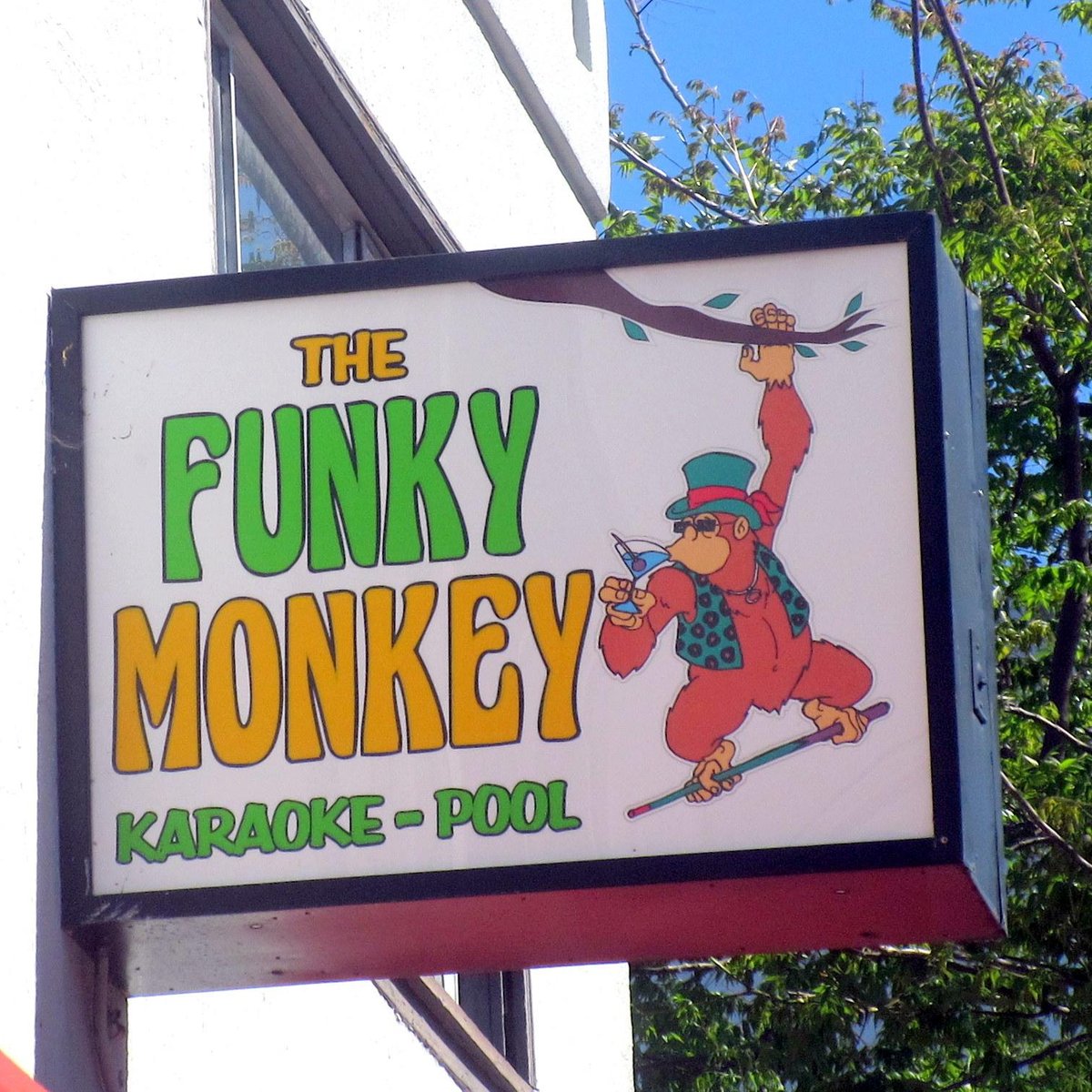 The Funky Monkey - All You Need to Know BEFORE You Go (2024)