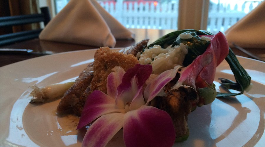 Fish special