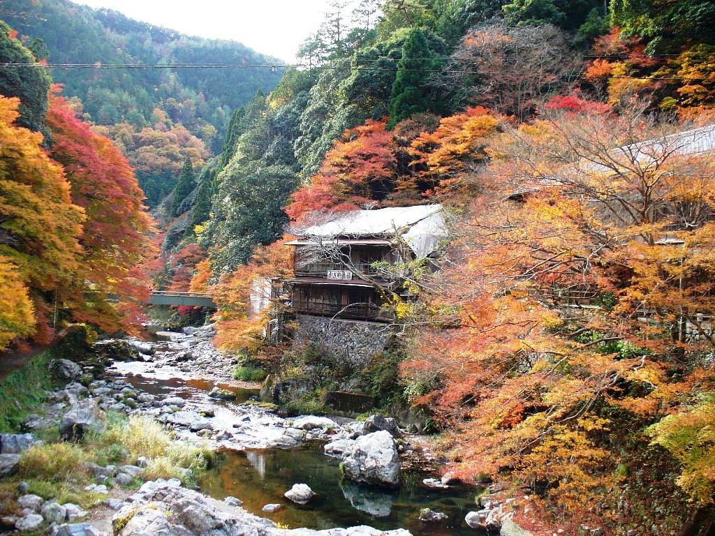 Kiyotaki River Kyoto Ce Qu Il Faut Savoir Pour Votre Visite 22