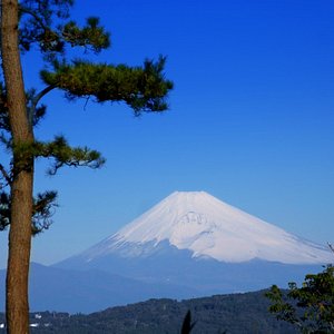 展望台からの富士山