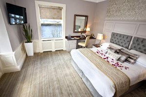 Room & Suite