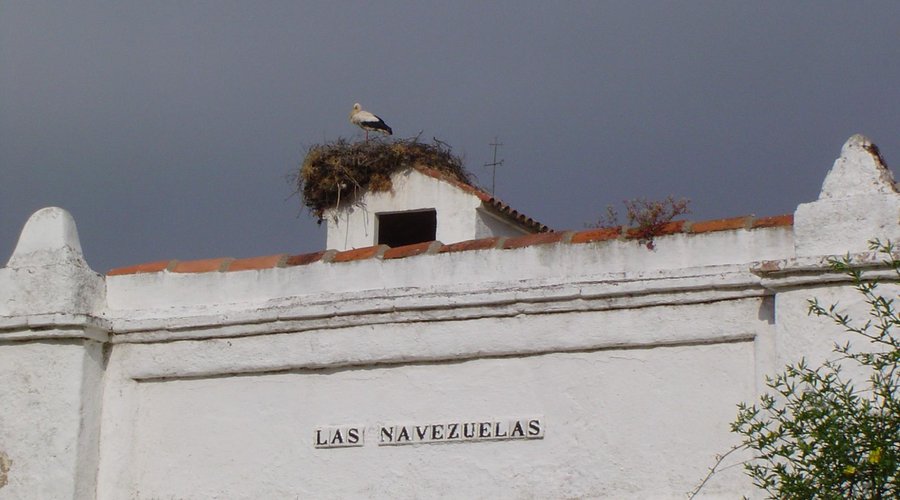 La tormenta de verano no inquietan a los huespedes