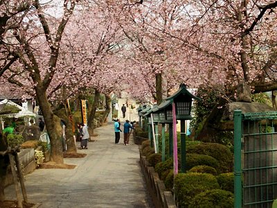 21年日本川口市的旅游景点 旅游指南 行程 Tripadvisor 21年日本川口市的旅游景点 旅游指南 行程 Tripadvisor