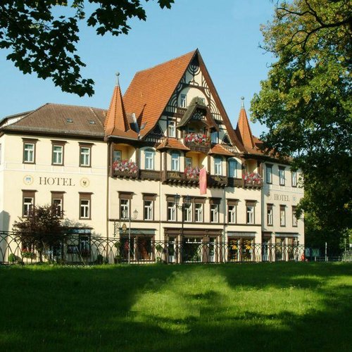 Hotel Sächsischer Hof image
