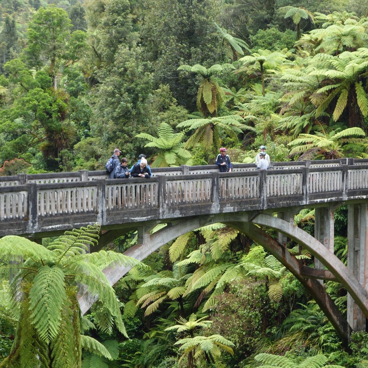 are dogs allowed on bridge to nowhere