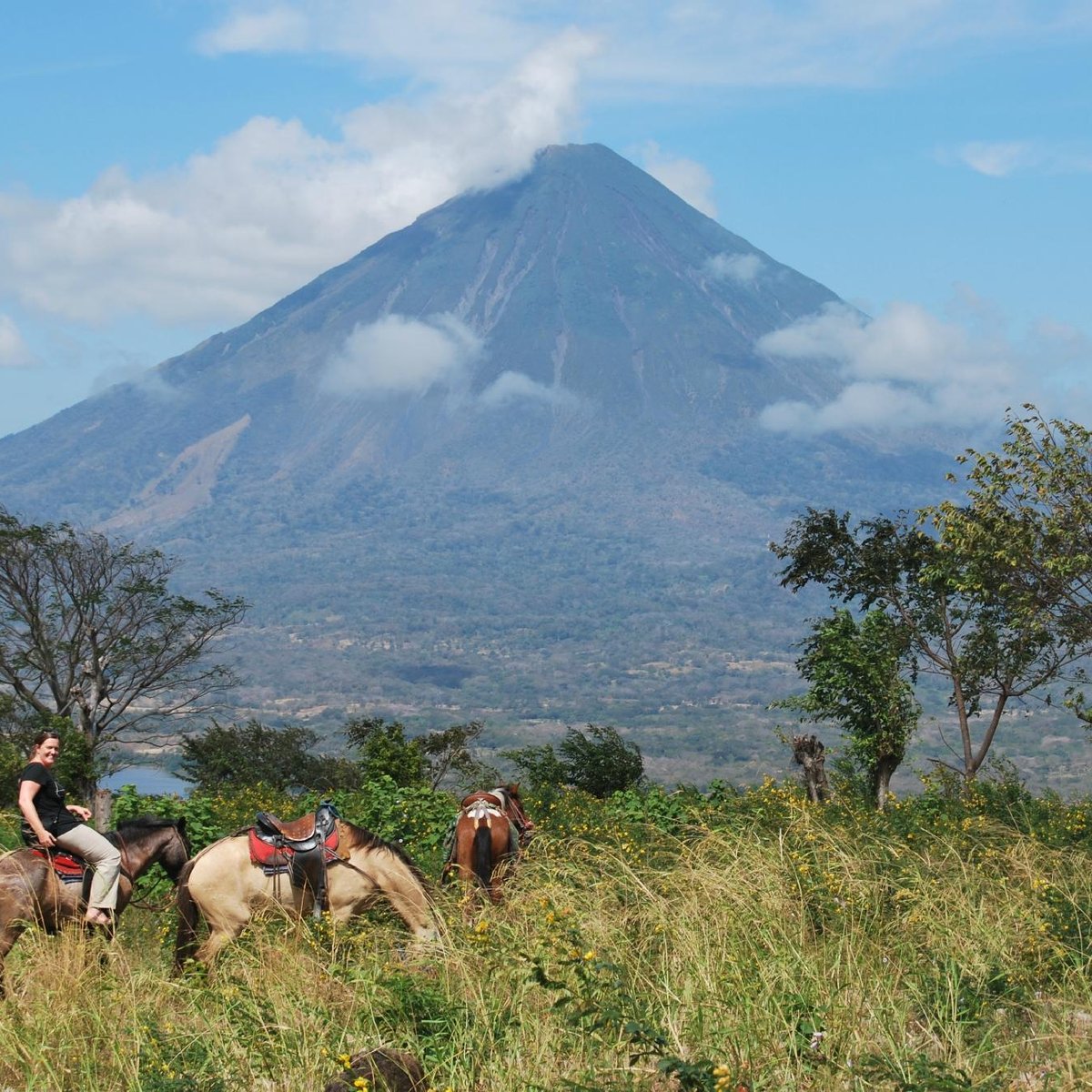 Haris'horses (Isla de Ometepe) - All You Need to Know BEFORE You Go