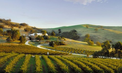 Adelaide-5-day-itinerary-barossa-valley