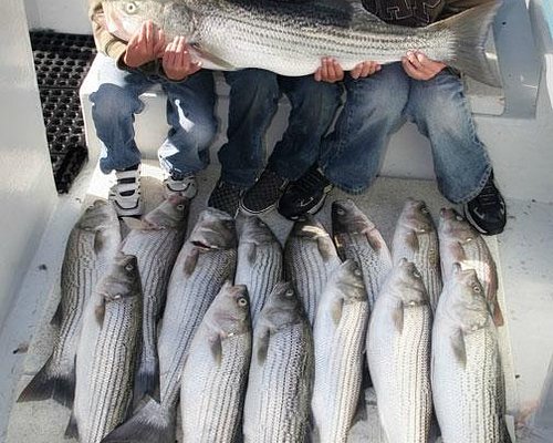 Flash Sport Fishing Charters of San Francisco - All You Need to