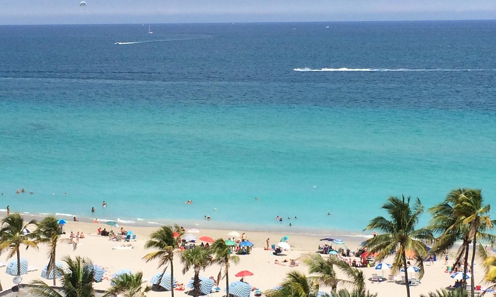 Hollywood 21 Best Of Hollywood Fl Tourism Tripadvisor