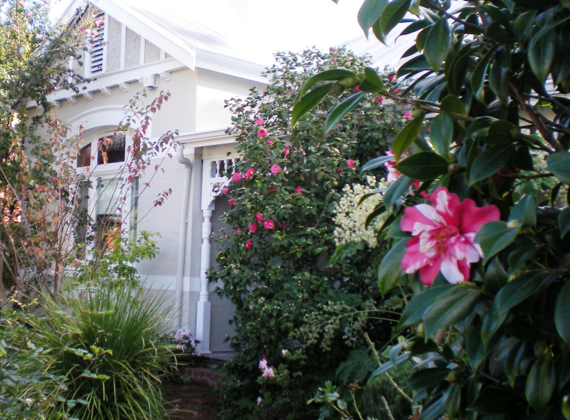 Durack House Bed & Breakfast by null